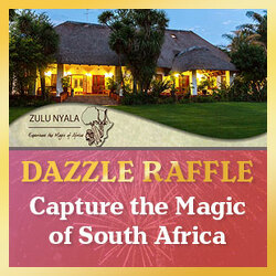 Capture the Magic of South Africa